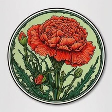 Carnation Flower  006445
