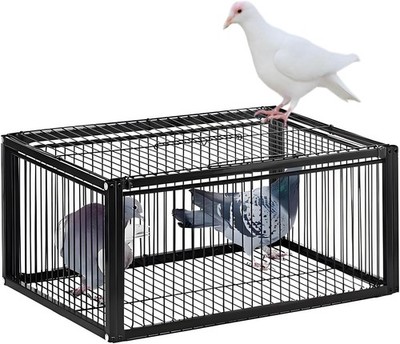 Pigeon Trap Cage, One-Way Entrance Escape-Proof Bird Traps, Easy to Install Outd