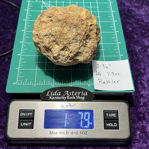 3-3/4” Unopened Geode Natural Crystal Quartz Rattler Crack Break Your Own 1.7Lb - Picture 8 of 10