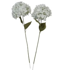 2 pcs Cream Hydrangea 7" Large Bloom 24" Long Stem Silk Flower Home Decor BP2270