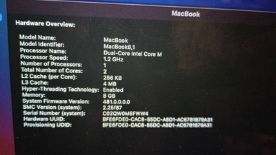 Apple MacBook 12 in 2015 Silver/Intel Core M 1.1 GHz, 256 GB 8 GB