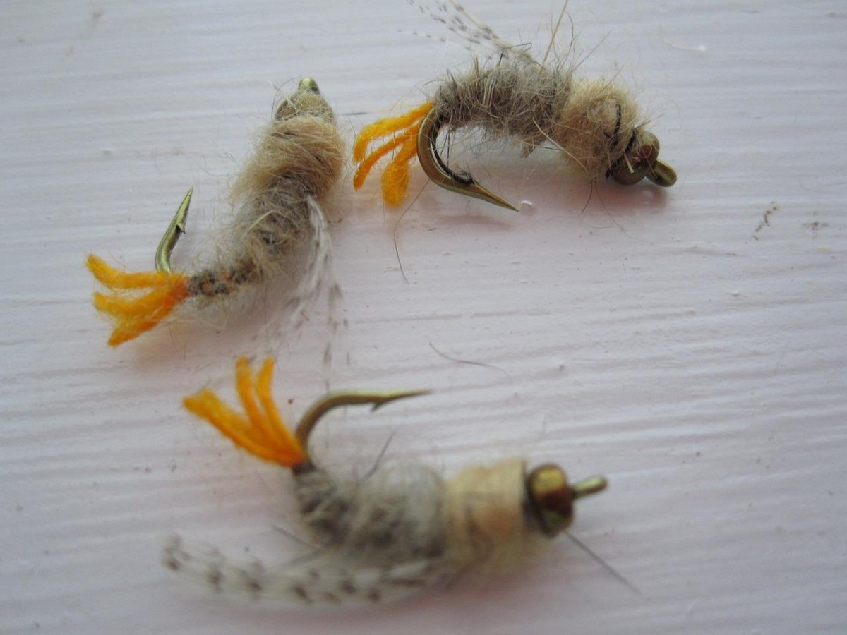 1 Dozzina Di Teste Di Perline Hot Wing Caddis Per Mosca Ninfo, Varie Misure E Colori