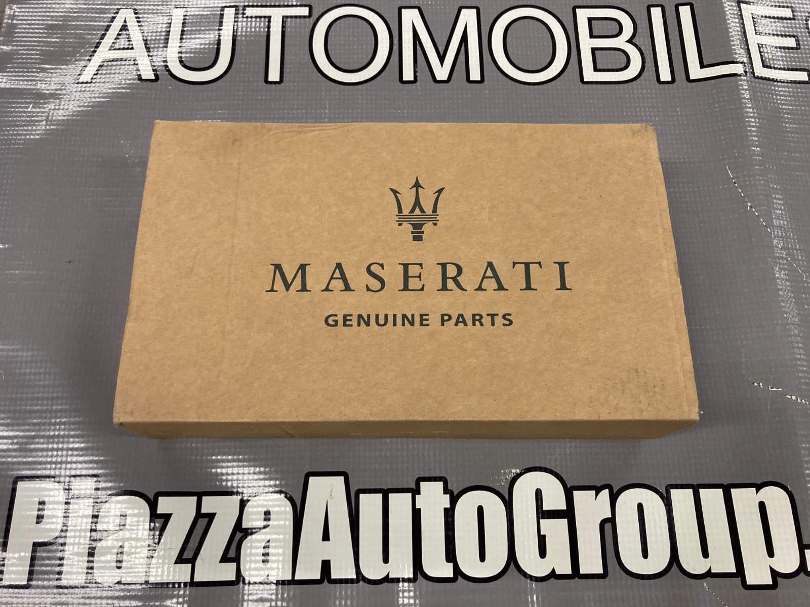 OEM Maserati Glass Scraper Gasket, Quattroporte, Ghibli, 670009918