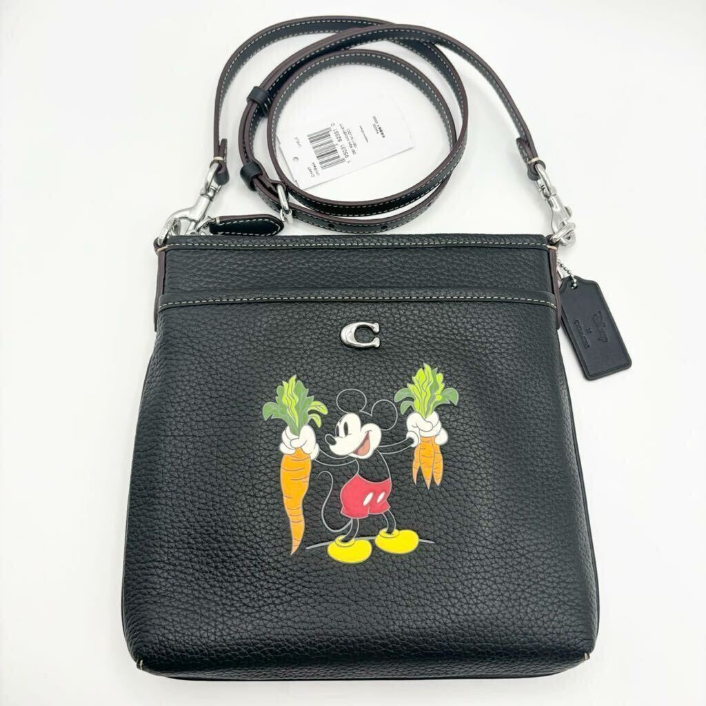 Disney 100th Anniversary Limited Edition Collection COACH Crossbody Shoulder Bag