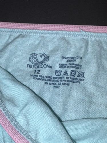 Fruit Of The Loom Girl Size 12 Y2K Low Rise Cotton Bikini Blue Panty Underwear - Picture 3 of 5