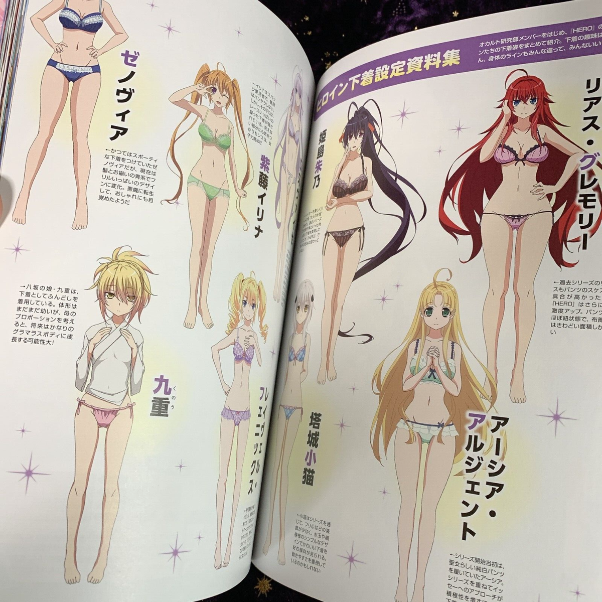 メガミマガジンRX VOL.8 ハイスクールD×D HERO メガミマガジンRX VOL.8 ハイスクールD×D HERO メガミマガジンRX