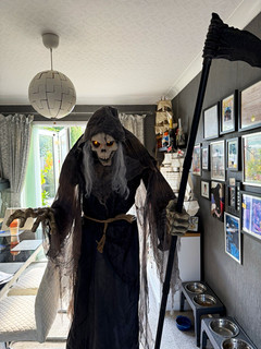 Halloween Grim Reaper Skeleton Prop with Scythe/Staff Light Up Eyes