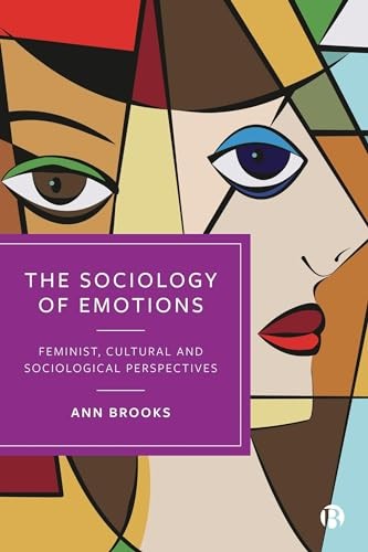 The Sociology of Emotions by Ann Brooks (Paperback Book) - Image 7