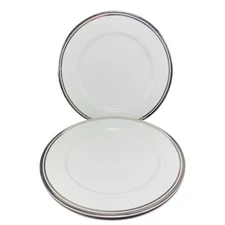 2005 Royal Doulton Pure Platinum Double Silver Band Plate Dish 10.5inch Set 3