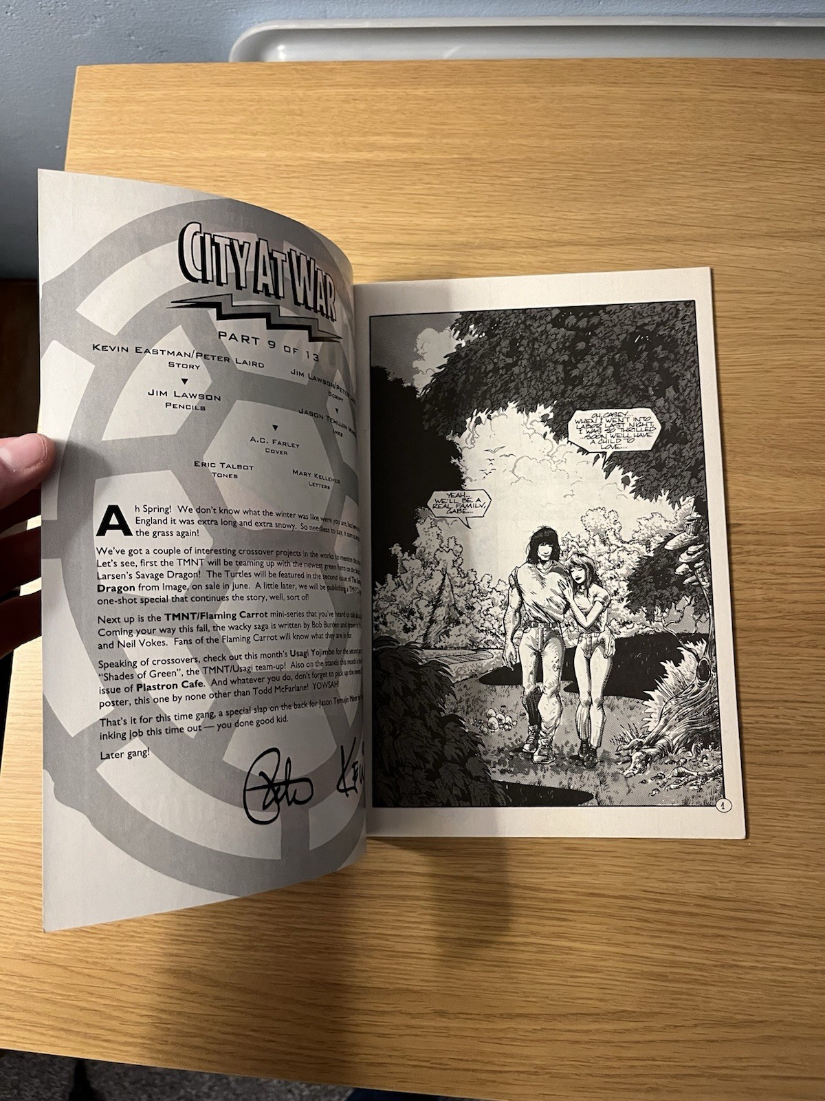 Teenage Mutant Ninja Turtle #58 Mirage Studios Eastman Laird