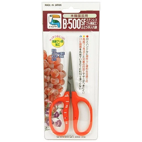 B500SF Chikamasa Stainless Fluorinated Grape Care Scissors B-500SF Pruning - Image 2 of 3