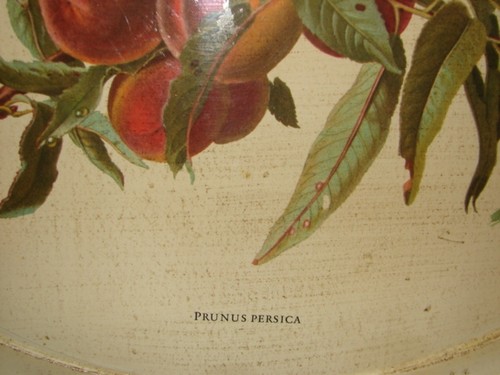 Bandeja de madera vintage hecha a mano pintada a mano diseñada para frutas hecha en Italia - Imagen 2 de 5