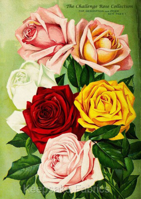 Fabric Block Vintage Roses Seed Catalog Multi Szs FrEE Shipping (101B