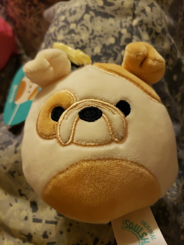NWT Brock The Bulldog Squishmallow Clip