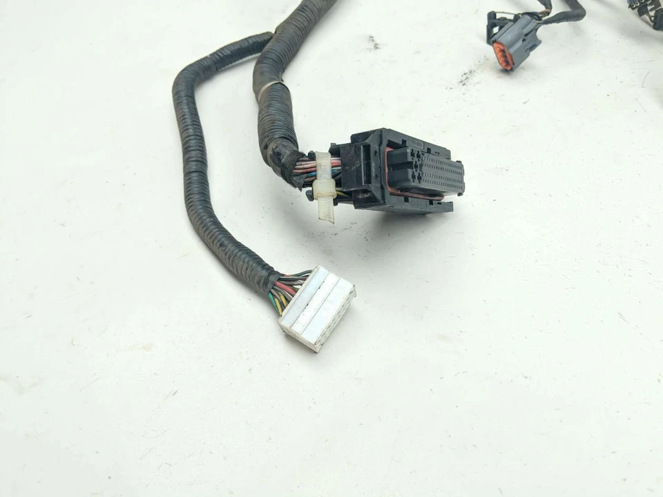 Arnés de cableado trasero 17 Oreion Reeper Foto 2 de 4