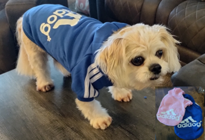 Adidas Dog Clothes Adidog Sweatshirt Adidog Hoodie Soft Sweatshirt