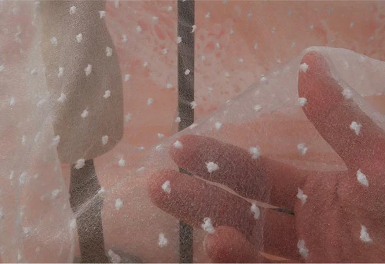 Tela de encaje lunares organza tela transparente para vestido de novia tutú falda por yarda Foto 3 de 4