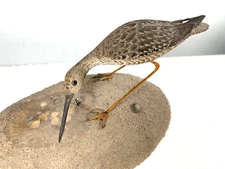 VTG LONG BILLED SEA BIRD DECORATIVE FOLK ART WOOD CARVING SIGNED  FJD 1983