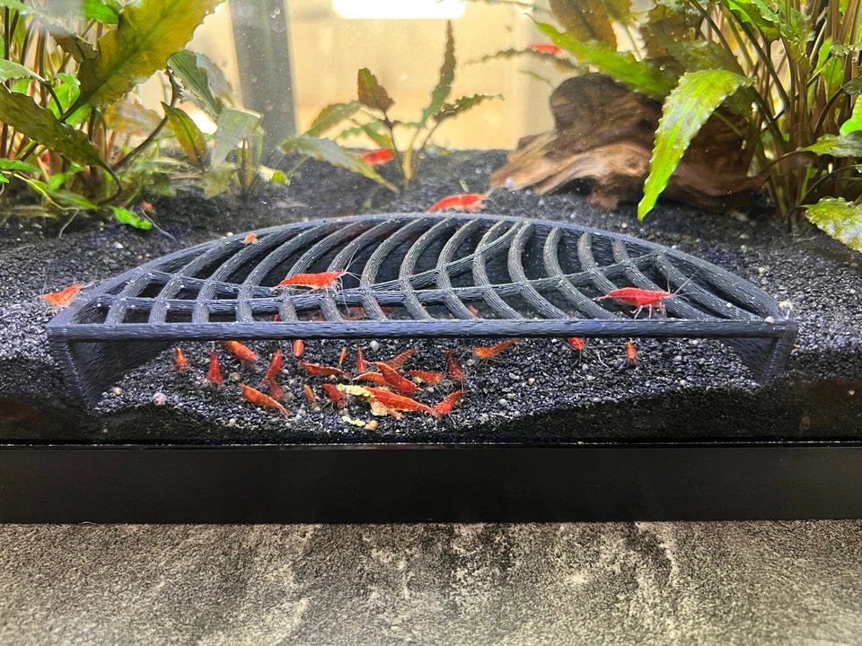 Shrimp tunnel Shrimp Cave Shrimp Hide FREE Shipping 2 Colors  2 Shapes Available - Image 2 of 4