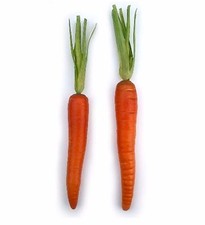 Artificial Assorted Carrot, 2 Sizes Bag of 12 Decorative Fake Vegetable