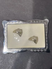 Belt Buckle Fish In Domed Resin White Silver Tone