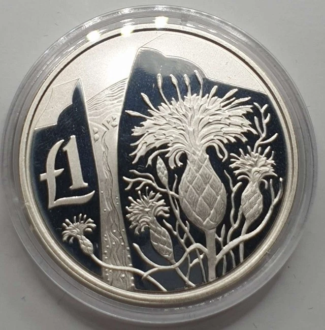 CYPRUS 2006 SILVER PROOF 1 POUND AKAMANTIS FLOWER - Image 2 of 4