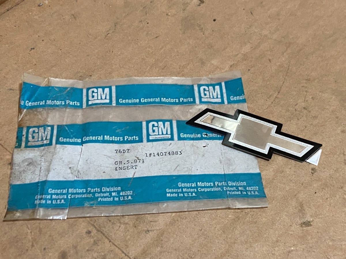 GM 14074883 Center Cap Insert -- 1985-1990 Astro w/ P01 Deluxe