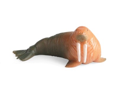 14cm Walrus Animal Toy PVC Action Figure Kids Toys Party Childern Gifts