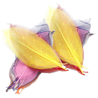 Delicate Looking Skeleton Leaves Embellishments - Multi