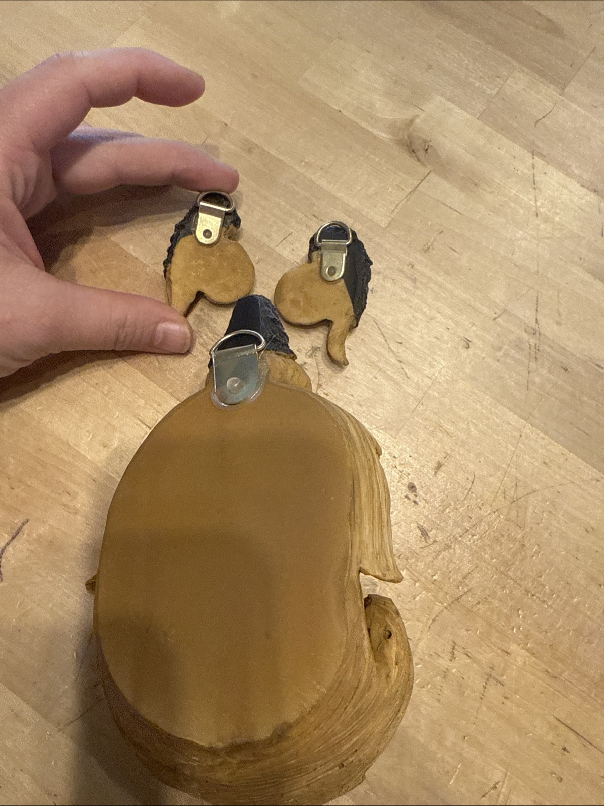 Picture 5 of 5