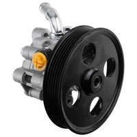 NTY Servopumpe Hydraulikpumpe Servolenkung FüR Chrysler Voyager IV RG RS 3.3
