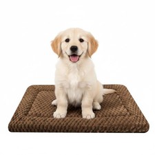 Dog Bed Mat, Reversible Crate Pad for Small 24"L 18"W 1.5"Th, Dark brown