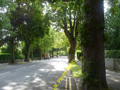 Photo 6x4 St Botolph's Road, Sevenoaks This attractive tree-lined road is c2015