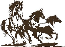  Horse Rodeo Western Horses Stallion Car Truck Window Laptop Vinyl Decal Sticker