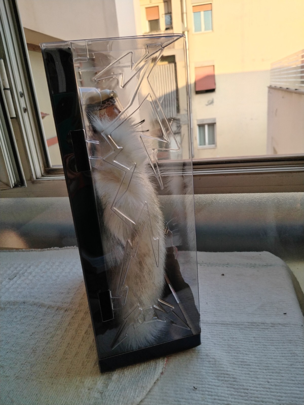 Foto 4 di 7