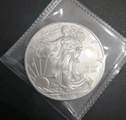 2009 1 Oz Silver American Eagle (Brilliant Uncirculated)