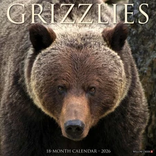 Willow Creek Press,  Grizzly Bears 2026 Wall Calendar, 12'' X 12'', 18-Month Cal