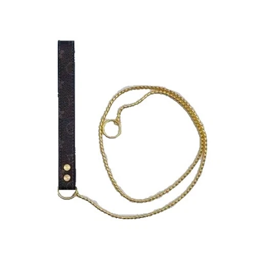 Chumbo estilo designer para show de cachorros - Imagem 4 de 4