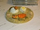Bild 6 von 8