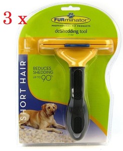 are there any male calico cats