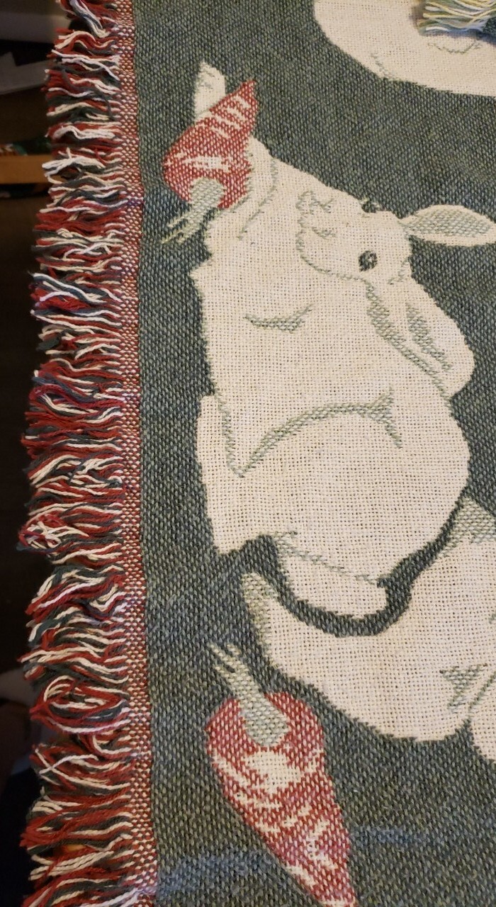 Picture 5 of 5