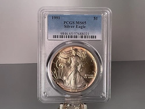 1991 PCGS MS65 American Silver Eagle Dollar $1 - Unique Toned Toner Toning