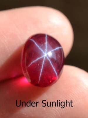 10.45 Ct 13.30x10.14 MM Red Ruby Star Sapphire 6 Rays Lab Corundum