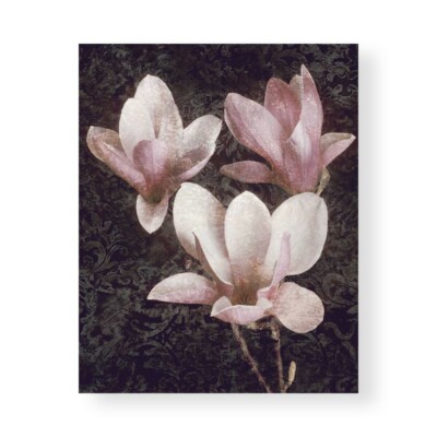 Leinwanddruck auf Papier Poster oder Gemälde Seba John Pink Magnolias II