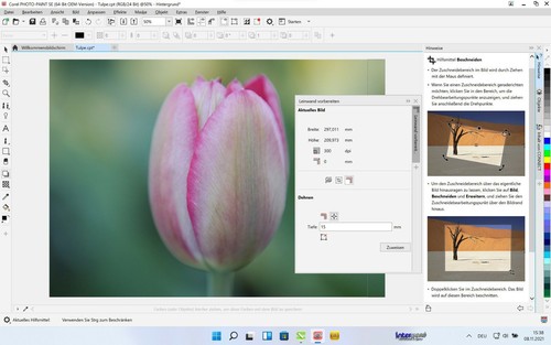 Corel Draw Graphics Suite SE 2024 Vollversion Dauerlizenz Cliparts Download NEU - Bild 9 von 11