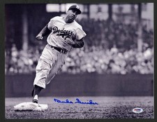 Los Angeles Dodgers Collecting and Fan Guide 81