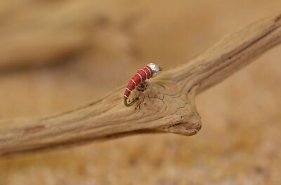 Tungsten BH Red Zebra Midge Nymph Fly - 1 Doz Flies - Mustad Signature Hooks