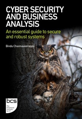 Cyber Security & Business Analysis: essential guide to secure & robust systems