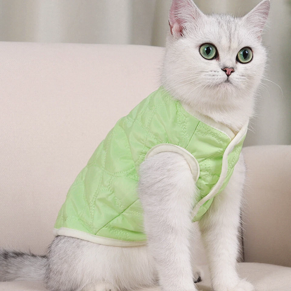Autumn Winter Pet Vest Puppy Hairless Cat Warm Padded Coat Button Jacket Vest - Image 3 of 4