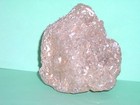 ANCIENT FOSSIL ROCK--UNIQUE & ONE OF A KIND--FROM CALIFORNIA — photo 2